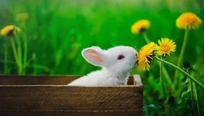 _爱游戏官方_ 中国女足全力以赴，备战重要国际赛事_，女足手游