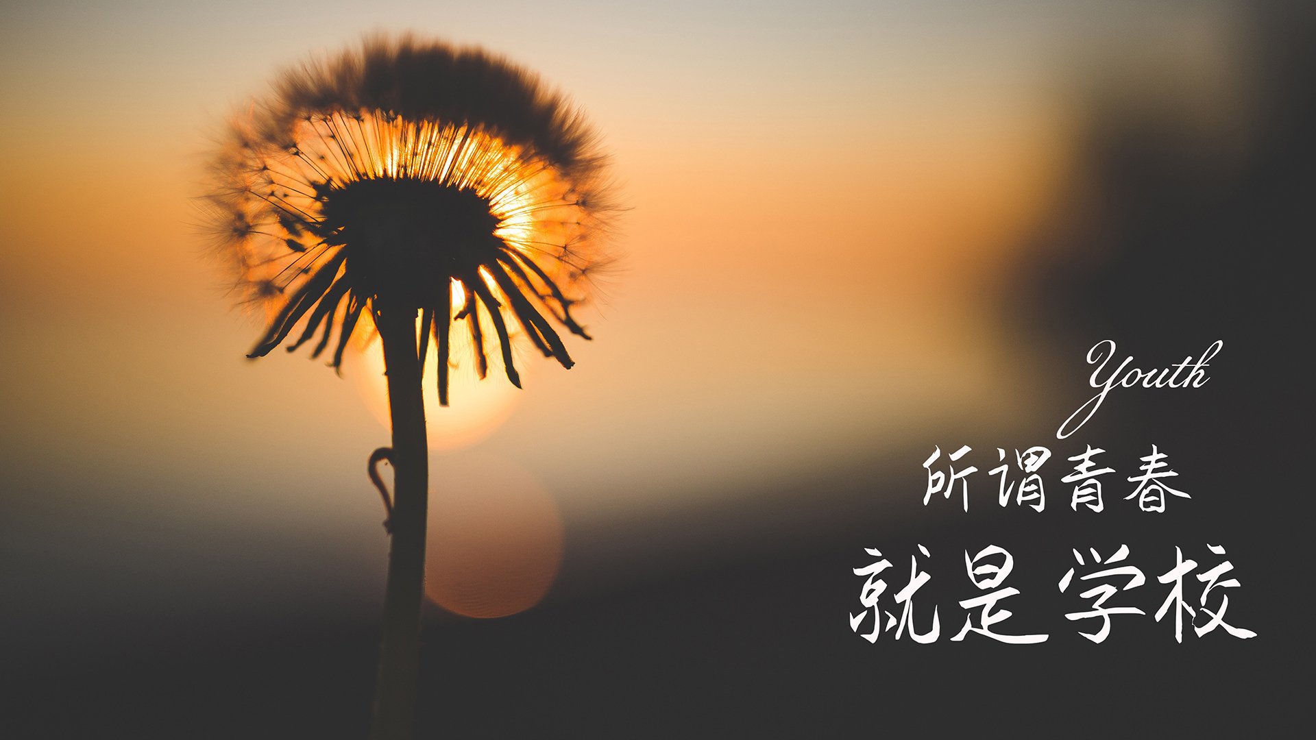 _奇才新秀表现抢眼，助球队稳步前进_，2021年奇才新秀