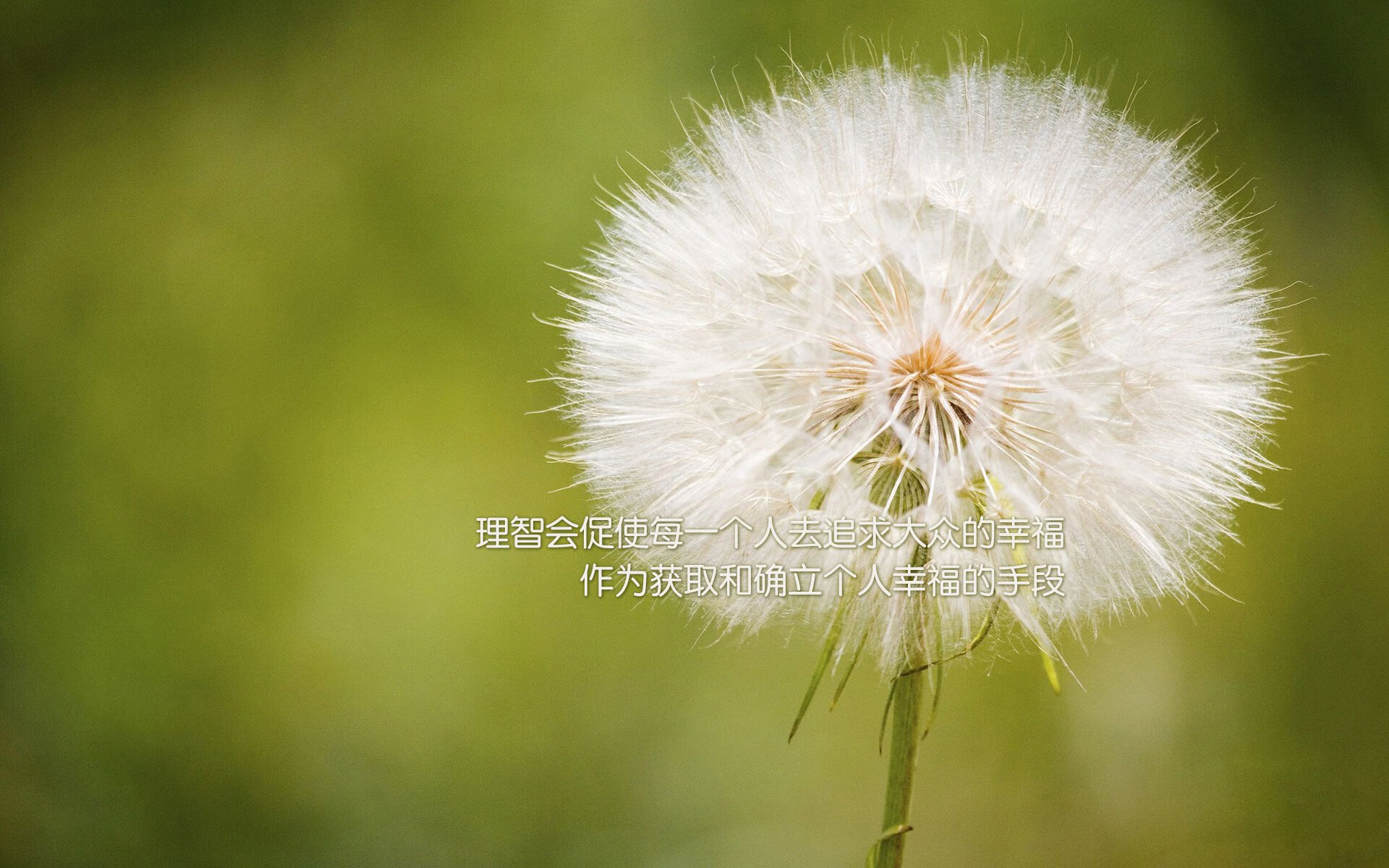 排名风云：本赛季球队实力排行榜揭晓，本赛季球员得分排名