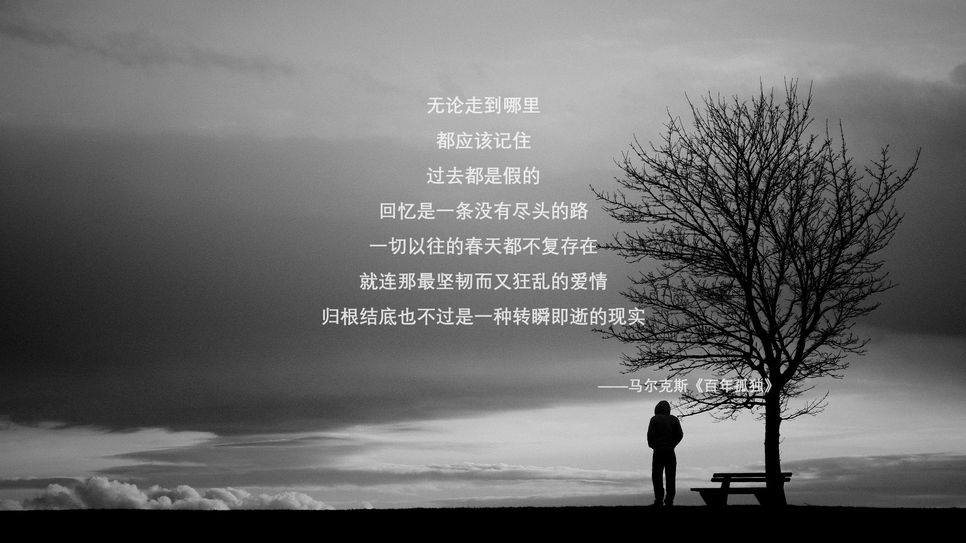 运动类App用户使用偏好与市场发展趋势研究，运动app用户目标